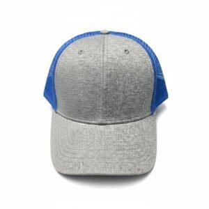 Light Gray and Blue